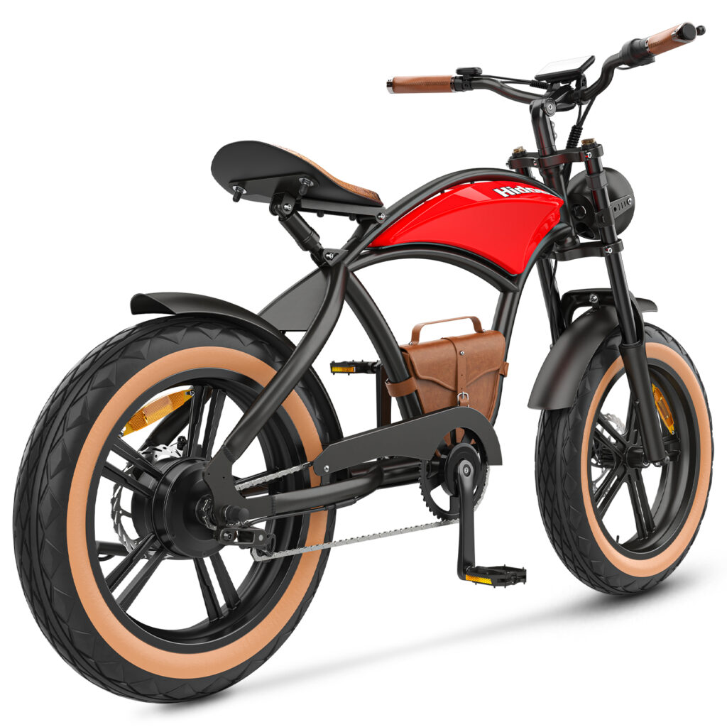 Hidoes B10 20 inch electric bike 5