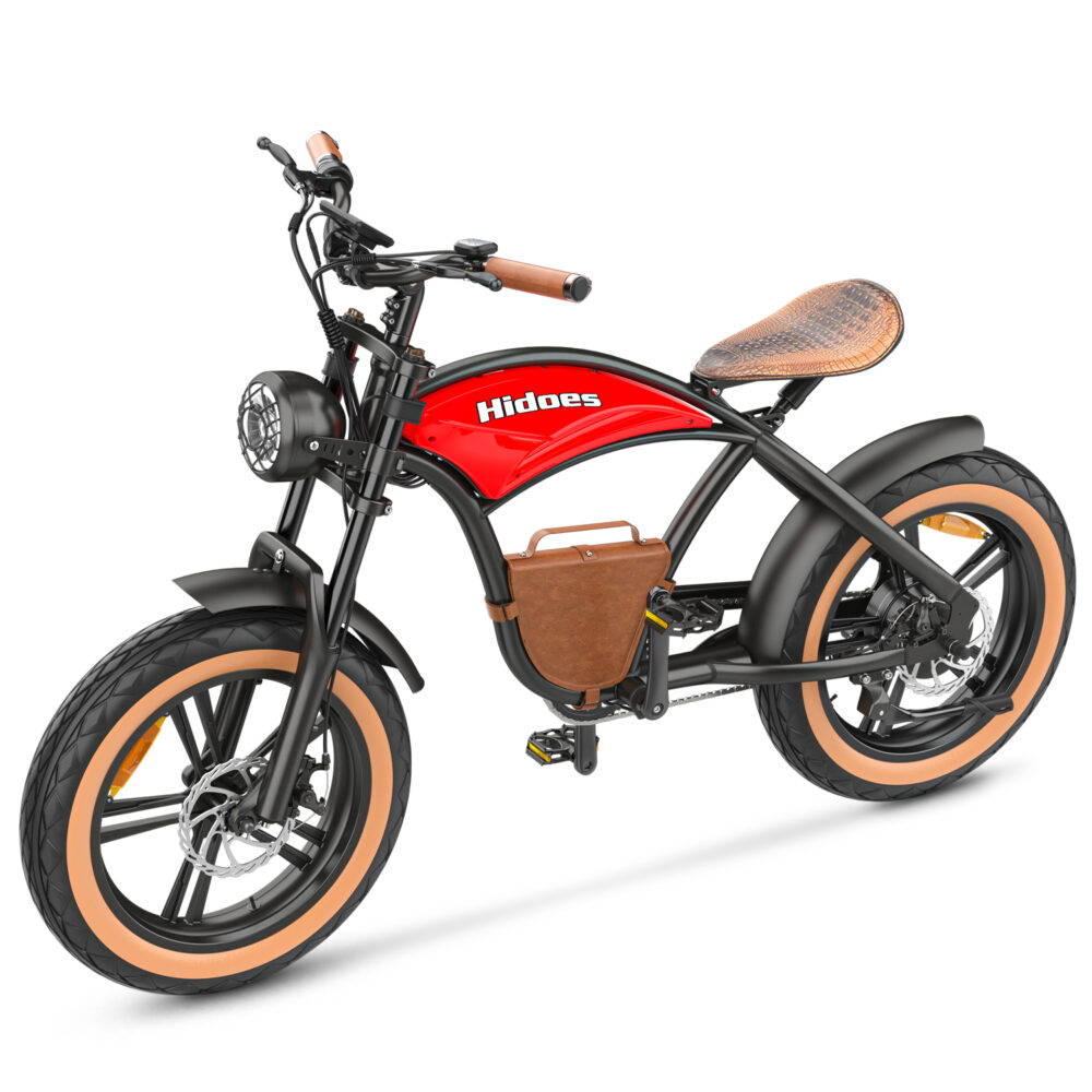 Hidoes B10 20 inch electric bike 7