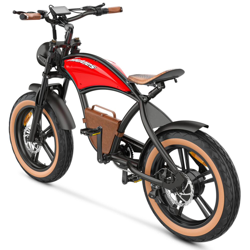 Hidoes B10 20 inch electric bike 8