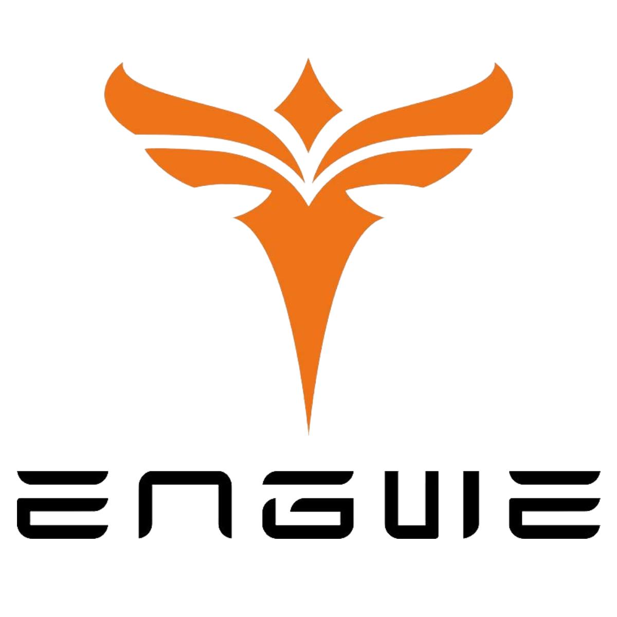 ENGWE-Logo-V2